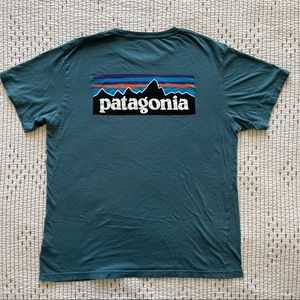Patagonia Organic Cotton Tee in M’s Large